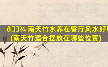 🌾 南天竹水养在客厅风水好吗(南天竹适合摆放在哪些位置)